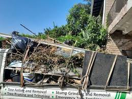 Best Commercial Junk Removal  in Ashville, AL